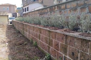 Vetralla - Interventi al verde pubblico