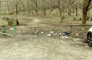 Rifiuti abbandonati alla Faggeta