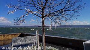 Marta - Panchina gelata sul lungolago