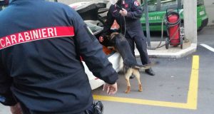 I controlli dei carabinieri con l'unità cinofila