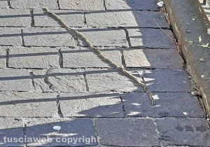 Viterbo - Processionarie al Sacrario