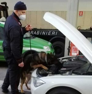 I controlli dei carabinieri con l'unità cinofila - Foto di repertorio
