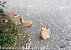 Viterbo - Rifiuti a terra a Porta di Valle