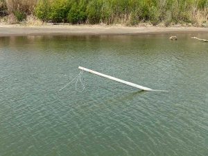 Montalto di Castro - Un palo della luce nel fiume Fiora