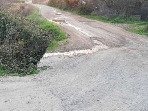 Montalto di Castro - Strada Ponte dell'Abbadia