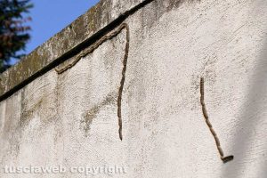 Tempo di primavera e di... processionarie