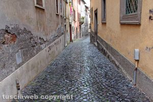 Viterbo - L'ortica tagliata nei quartieri del centro storico
