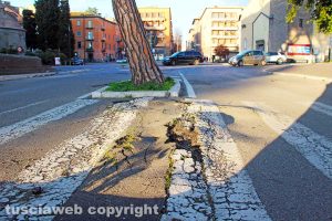 Viterbo - Le strade della città