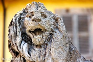 Viterbo - Piazza delle erbe - I leoni di Pio Fedi