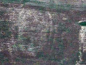 San Lorenzo Nuovo - La forma ellittica scoperta dal gruppo archeologico Turan