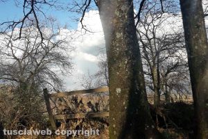 Passaggio tra l'inverno e la primavera