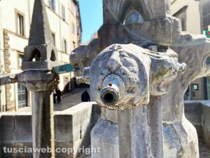 Viterbo - La Fontana grande