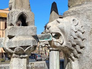 Viterbo - La Fontana grande