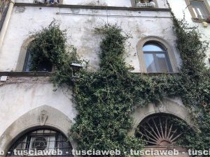 Viterbo - Degrado in città