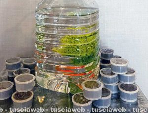 Viterbo - L'installazione dell'artista Andrea Zanobi