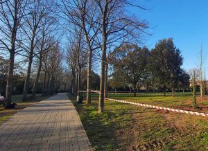 Vetralla - Nuovi alberi al Parco della poesia A. Foà