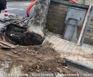 Il cantiere non in regola a Sutri