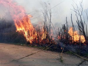 Incendio a Tarquinia