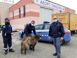 Salvato un cane da polizia e Aeopc