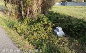 Viterbo - Una tv abbandonata nel quartiere Respoglio