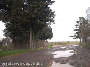 Viterbo - Strada Rinaldone