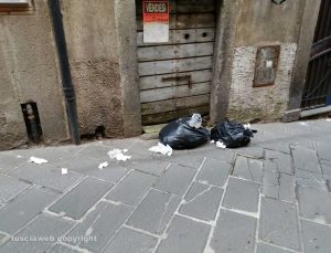 Montefiascone - Rifiuti lungo il corso
