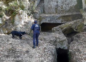 Carabinieri - Nucleo cinofilo antiveleno a Norchia