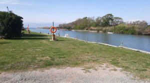 Arginatura sul Fiora