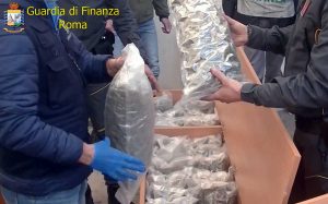 Civitavecchia - Guardia di finanza - La marijuana nascosta tra i mobili