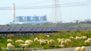 Montalto di Castro - Un impianto fotovoltaico