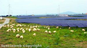 Montalto di Castro - Un impianto fotovoltaico