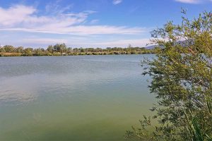 Sport - Pesca sportiva - Il bacino Celletti