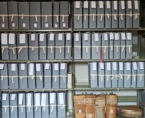 Viterbo - Biblioteca Ardenti - Indicizzazione manoscritti