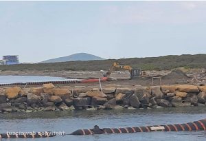 Montalto di Castro - Fiume Fiora