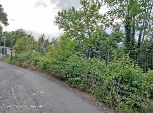 Vasanello - fitta vegetazione al bivio con Orte
