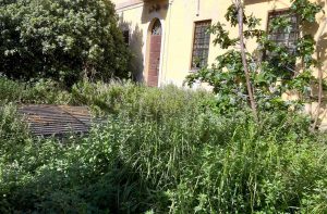 Pescia Romana - Ex caserma dei carabinieri