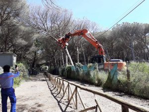 Riaperta la strada adiacente il campeggio dell'Università Agraria di Tarquinia