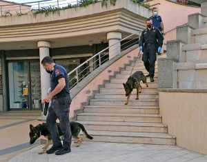 Civita Castellana - I controlli del carabinieri del nucleo cinofilo