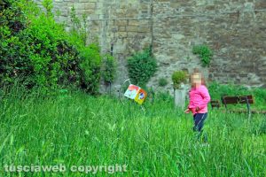 Viterbo - Il giardino Chiara Lubich
