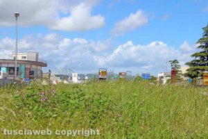 Viterbo - La zona del Poggino