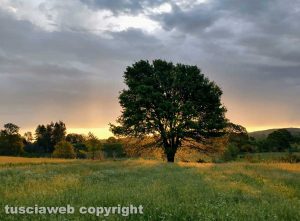 La campagna di Oriolo Romano alle prima luci dell'alba