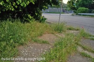 Viterbo - Incuria a Bagnaia