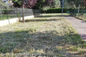 Viterbo - Il giardino all'Ellera