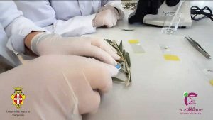 Tarquinia - All'istituto Cardarelli arrivano le lezioni di agricoltura dell'università agraria