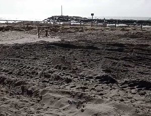 Montalto di Castro - Lavori lungo la costa