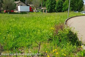 Viterbo - Incuria in via Valle Piatta e via Faul