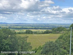Pecore in relax all’orizzonte