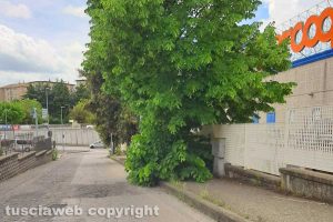Viterbo - Il marciapiede in via Ramacci