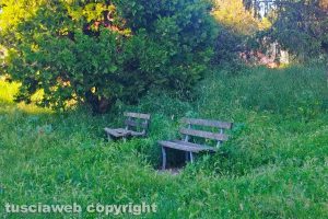 Viterbo - Incuria nel giardino di viale Bruno Buozzi