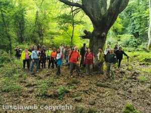Farnese - Una della passeggiata nella Selva del Lamone